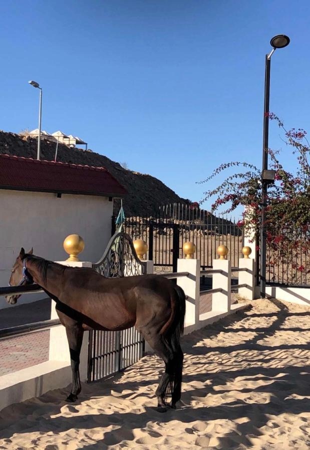 منتجع روهارا الطائف المظهر الخارجي الصورة